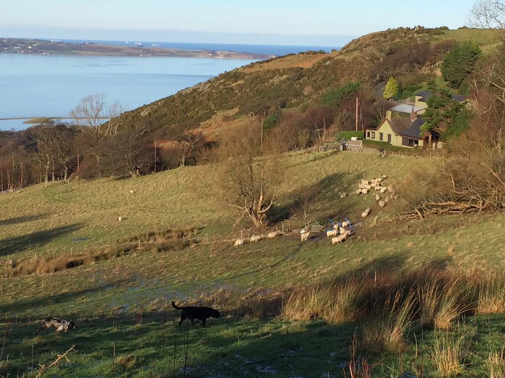 Rhiwiau Guesthouse Llanfairfechan Bagian luar foto
